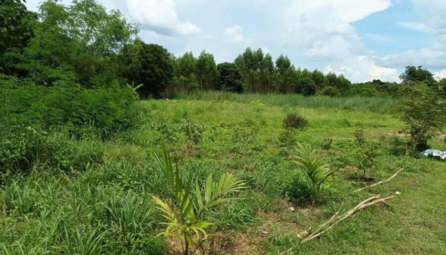 ขายที่ดิน 8 ไร่ ต.เขาหินซ้อน อ.พนมสารคาม จ.ฉะเชิงเทรา โทร 0863683798