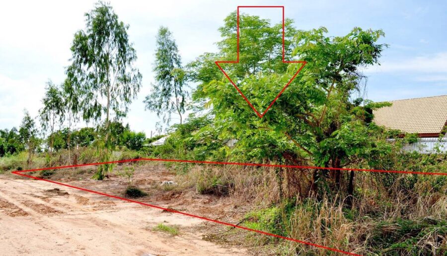 ขายที่ดินใกล้แยกอินโดจีน จังหวัดพิษณุโลก ขนาด 200 ตารางวา ถมแล้ว โทร 082-404-8483