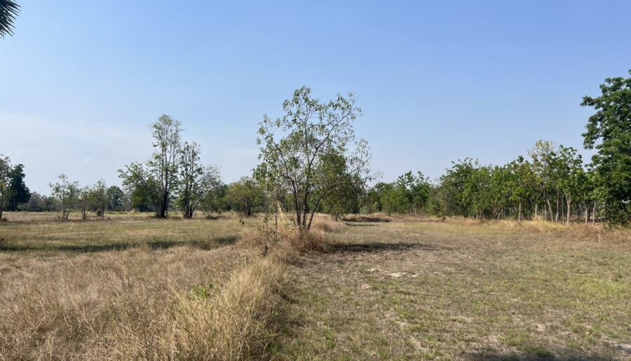 ขายที่ดิน ห่างเมืองเก่าสุโขทัย 10 กิโลเมตร เป็นที่นา มีบ่อน้ำ อำเภอคีรีมาศ โทร 0917796341