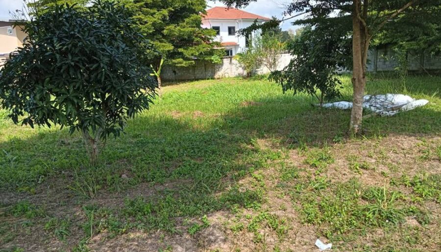 ขายที่ดิน อำเภอเมืองพะเยา 1 ไร่ โฉนด พร้อมโอน โทร 0817830178