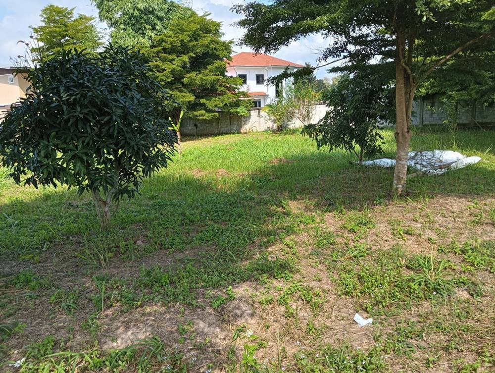 ขายที่ดิน อำเภอเมืองพะเยา 1 ไร่ โฉนด พร้อมโอน โทร 0817830178