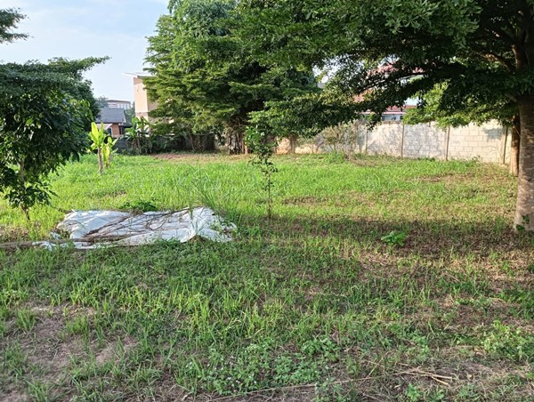 ขายที่ดินเมืองพะเยา บ้านต๋อม เนื้อที่ 400 ตรว. โฉนดพร้อมโอน ใกล้ศาลากลางพะเยา 1 กม. โทร 0817830178