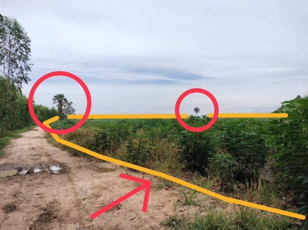 ขายที่ดิน ซอย บ้านหนองไทร ต.บ้านไร่ อ.ลาดยาว จ.นครสวรรค์ 34 ไร่ โฉนดครุฑแดง เจ้าของขายเอง โทร 065-3423946