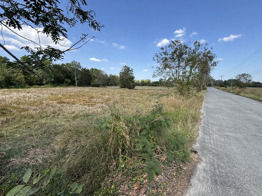 ขายที่ดิน 13 ไร่ 63 ตร.ว. บ้านนา นครนายก ถนนสุวรรณศร ยกแปลก หรือแบ่งก็ได้ โทร 089-7411750