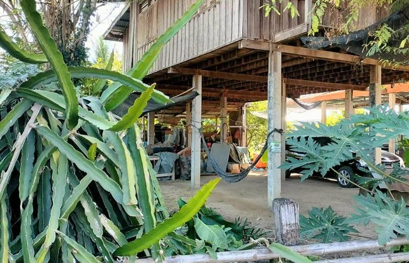 ขายด่วน! (บ้าน 2 ชั้น/ใต้ถุนโล่ง) พร้อมที่ดิน ติดถนนดำ อำเภอลาดยาว นครสวรรค์ โทร 092-6869618