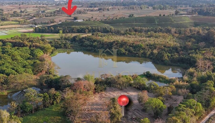 ขายที่ดิน 12 ไร่กว่า ทำเลศักยภาพ ใกล้แหล่งท่องเที่ยว จ.เชียงราย อ.แม่จัน ต.ศรีค้ำ เดินทางสะดวก โทร 081-0321111