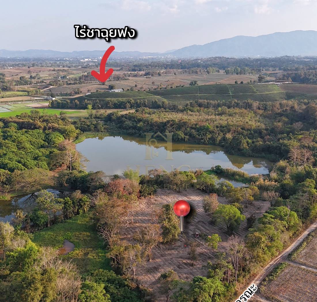 ขายที่ดิน 12 ไร่กว่า ทำเลศักยภาพ ใกล้แหล่งท่องเที่ยว จ.เชียงราย อ.แม่จัน ต.ศรีค้ำ เดินทางสะดวก โทร 081-0321111