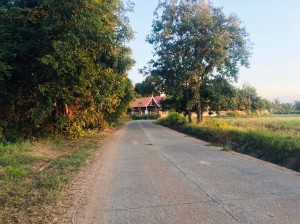 ที่ดิน ขาย ใกล้ถนนโชคชัย-เดชอุดม น้ำประปาไฟฟ้าผ่านหน้าที่นา ใกล้ทางหลวงหมายเลข24 ที่นา-ที่ดินราคาถูกนครราชสีมา เข้าออกหมู่บ้านได้2เส้นทาง