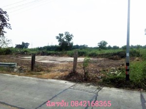 ขาย ที่ดิน โครงการเชิงพาณิชย์ ขายถูก เหมาะจัดสรรแบ่งขาย, ที่ดินธัญบุรีคลอง6,หรือปทุมธานี เหมาะทำหมู่บ้านจัดสรร