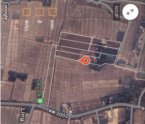 ขาย ที่ดิน ตำบลป่าสัก ติดถนนบ้านบูชา-ป่าสัก เจ้าของขายเอง ใกล้แหล่งชุมชน-ตลาด-ห้าง-โรงพยาบาล ขายที่ดินอำเภอเมืองลำพูนราคาถูก