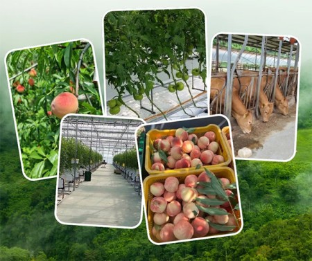 บริการ ประกาศ งานประเทศอิสราเอล งานสวนประเทศออสเตรเลีย ไม่หลอกลวงทำงานต่างประเทศถูกกฎหมาย รับจัดหางาน งานประเทศเกาหลีใต้