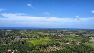 ที่ดิน ขาย ซื้อที่ดินโคกกลอยเจ้าของขายเอง ที่ดินเปล่าโคกกลอยโฉนดพร้อมโอน ใกล้สนามบินภูเก็ตใกล้ทะเล ขายที่ดินใกล้หาดนาใต้ไม่เกินล้าน เหมาะทำบ้านพักตากอากาศ